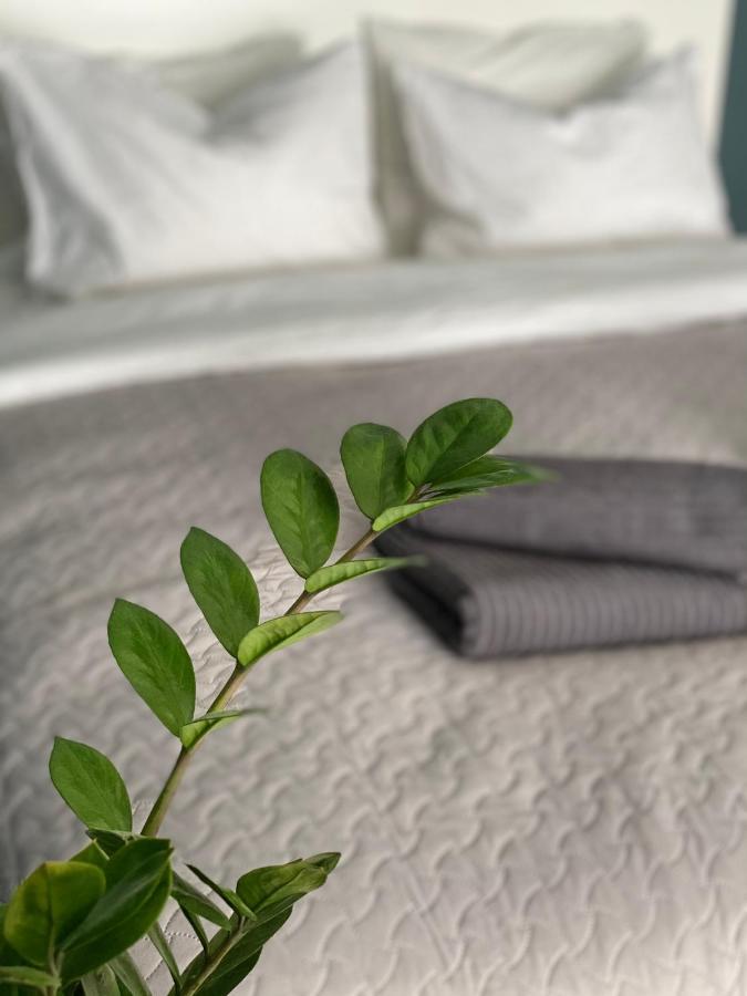City Ocean Apartment ダウガフピルス エクステリア 写真
